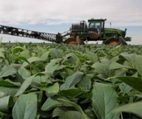 Produtores de soja querem propor modificações no projeto de regularização fundiária.(Imagem:Cidadeverde.com)