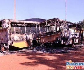 Greco cumpre mandados e apreende suspeito de atear fogo em ônibus.(Imagem:Cidadeverde.com)