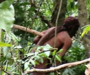 Funai divulga imagens de índio isolado na Amazônia.(Imagem:Acervo Funai)
