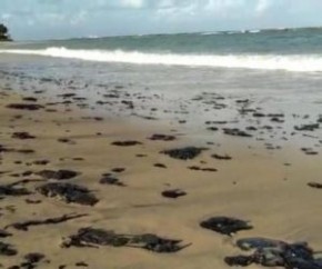 Marinha investiga manchas de óleo em ilha do Delta do Parnaíba.(Imagem:Divulgação)
