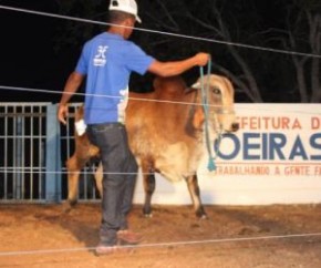 7° edição do Expoeiras 2019 reúne multidão com grande programação.(Imagem:Portalr10)