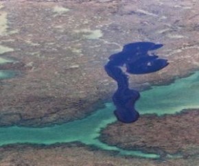 Óleo que atinge praias do NE é altamente cancerígeno.(Imagem:Divulgação)