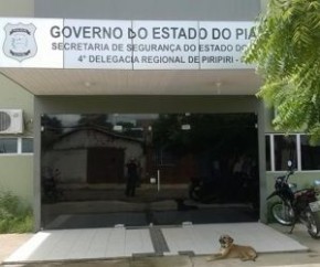 Cão morre após semanas diante de delegacia esperando dono preso.(Imagem:Cidadeverde.com)