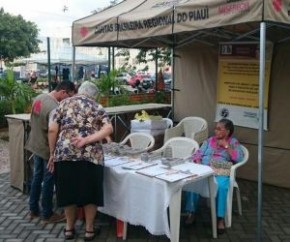 Cáritas coletam assinaturas para projeto de saneamento básico.(Imagem:Cidadeverde.com)