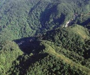 Piauí mantém índice inaceitável de desmatamento da Mata Atlântica.(Imagem:Jornal do Brasil)