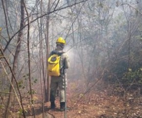 Bombeiros tentam controlar incêndio no centro de Brasileira.(Imagem:Portal Brasileira)