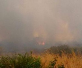 Incêndio florestal já dura dois dias e atinge dois municípios do PI.(Imagem:Cidadeverde.com)