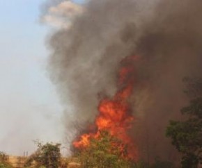 Piauí registrou elevado número de queimadas em 2016(Imagem:Reprodução)