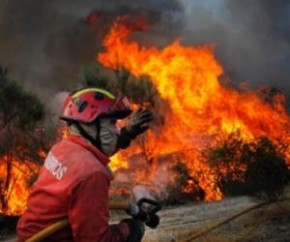 Bombeiros revelam que quase 100% dos incêndios no BRO B-R-Ó são criminosos.(Imagem:Divulgação)