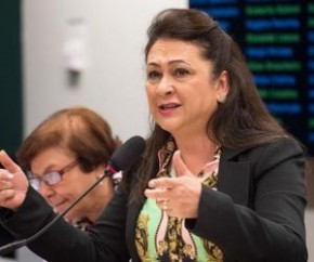Senadora Kátia Abreu (PDT-TO)(Imagem:Divulgação)