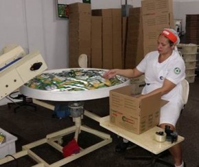 Indústrias de alimentos e bebidas são as que mais crescem no Piauí.(Imagem:CidadeVerde.com)