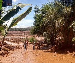 Vale acata pedido e afasta dez gerentes e engenheiros.(Imagem:Divulgação)