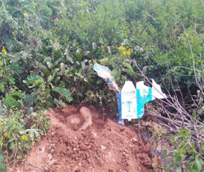 Preso suspeito de ocultar cadáver de auxiliar de serviços gerais.(Imagem:Cidadeverde.com)