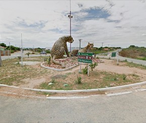 Polícia desmente boato de venda de carne de gato no interior do PI(Imagem:Cidadeverde.com)