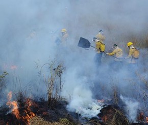 Floriano está entre os municípios com leitura mais crítica de focos de calor(Imagem:CidadeVerde.com)