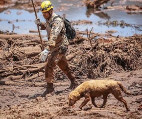 Número de mortes em Brumadinho sobe para 165.(Imagem:Divulgação)