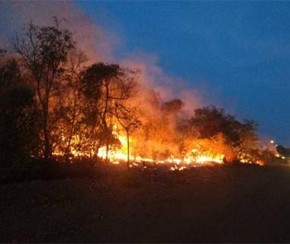 Piauí lidera o número de queimadas no Brasil, diz INPE.(Imagem:Divulgação)