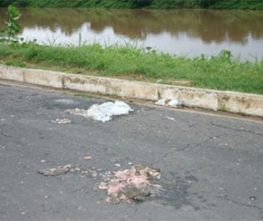 Mais de 70 cágados morrem atropelados na avenida Boa Esperança.(Imagem:Cidadeverde.com)