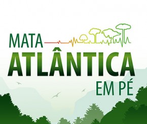 Piauí participa de operação para identificar desmatamentos na Mata Atlântica.(Imagem:CidadeVerde.com)