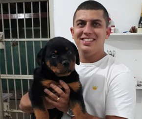 Filhote de rottweiler furtado para comprar drogas é resgatado.(Imagem:Graciane Sousa)