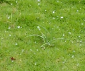 Chuva de granizo e ventania causam destruição em Castelo.(Imagem:Divulgação)