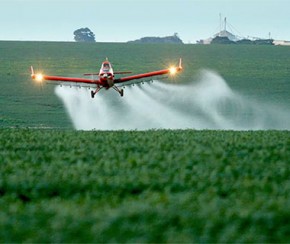 Produtores do Piauí gastam mais com agrotóxicos do que salários, diz IBGE.(Imagem:Cidadeverde.com)