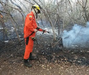 Incêndio do Norte do PI durou 6 dias e devastou 10km de área de preservação.(Imagem:CidadeVerde.com)
