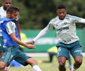 Chance de título do Palmeiras aumenta para 81,1% com empate do Inter, diz site.(Imagem:Divulgação)