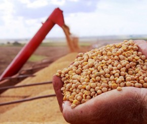 Piauí cai para 19º no ranking do valor total da produção agrícola no país.(Imagem:Divulgação)