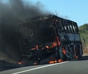 Ônibus de turismo incendeia às margens da BR-316 em Monsenhor Gil(Imagem:Reprodução)