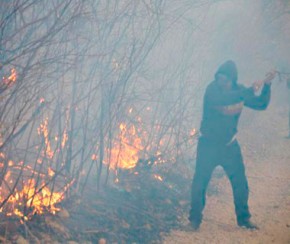 Queimadas destroem plantações e prefeita decreta emergência em Colônia do Piauí.(Imagem:Cidadeverde.com)