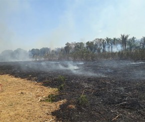 Incêndio de grandes proporções atinge canavial da Cachaça Lira em Amarante.(Imagem:CidadeVerde.com)