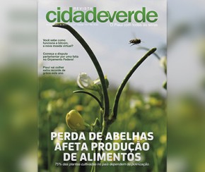 RCV destaca a perda de abelhas no PI que ameaça a produção de alimentos.(Imagem:Cidadeverde.com)