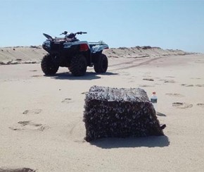 Sobe para 33 os pacotes que chegam às praias do Piauí.(Imagem:CidadeVerde.com)