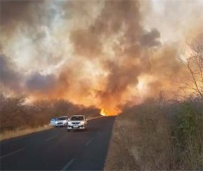 Incêndio de grandes proporções devasta vegetação entre Oeiras e Colônia do PI.(Imagem:CidadeVerde.com)