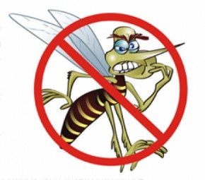 Agentes endêmicos darão início ao levantamento sobre a dengue.(Imagem:Internet)