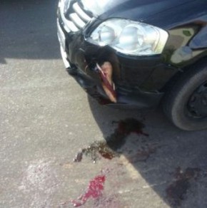Jovem tem pé amputado em acidente em Barão de Grajaú.(Imagem:Reprodução/ WhatsApp)