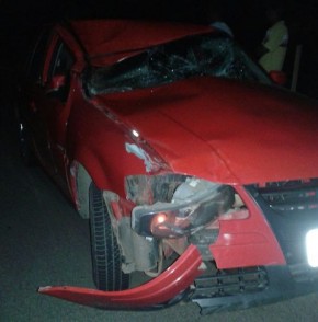 Veículo colide com animal na PI 05 em Floriano.(Imagem:Divulgação)