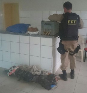 PRF flagra homem transportando aves selvagens e equipamentos em Floriano.(Imagem:PRF)