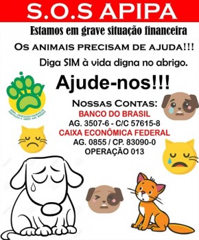  Nas redes sociais, entidade iniciou a campanha SOS APIPA.(Imagem:Cidadeverde.com)