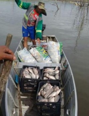 Cerca de 17 toneladas de peixe mortos são encontrados em barragem do Piauí.(Imagem:Cidadeverde.com)