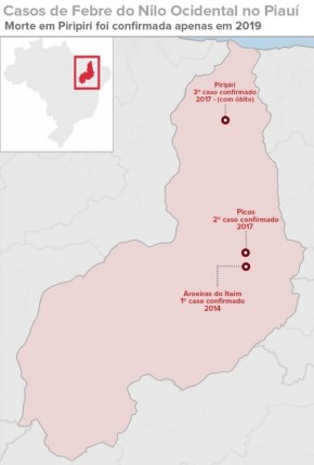 Casos foram registrados em Aroeiras do Itaim, Picos e Piripiri.(Imagem:G1 PI)