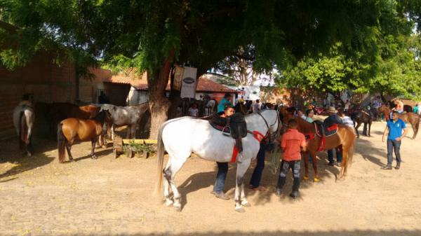 Cavalgada abre oficialmente a 65ª Expoapi em Teresina.(Imagem:Cidade Verde)