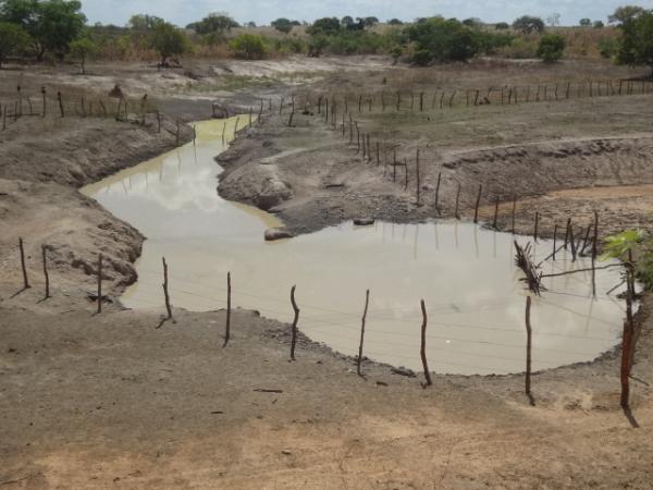 Seca mata animais na zona rural de Floriano.(Imagem:FlorianoNews)