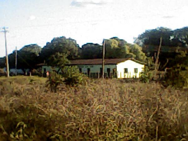 Escola Municipal Francisco Ferreira dos Reis, situada no assentamento Ararinha. (Imagem:FlorianoNews)