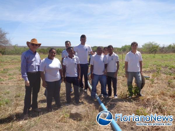 Estudantes instalam sistema de irrigação de pasto rotativo em Floriano.(Imagem:FlorianoNews)