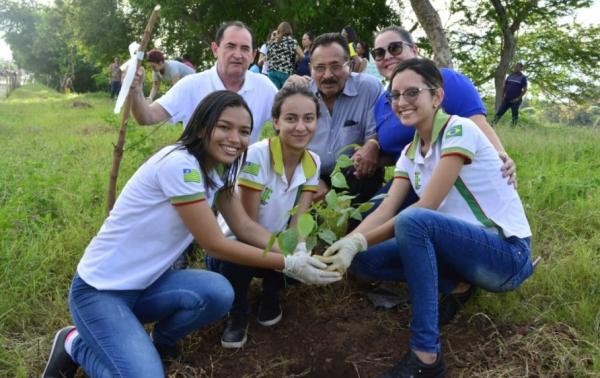 Margens do Rio Parnaíba em Floriano recebem 50 mudas de plantas.(Imagem:Secom)