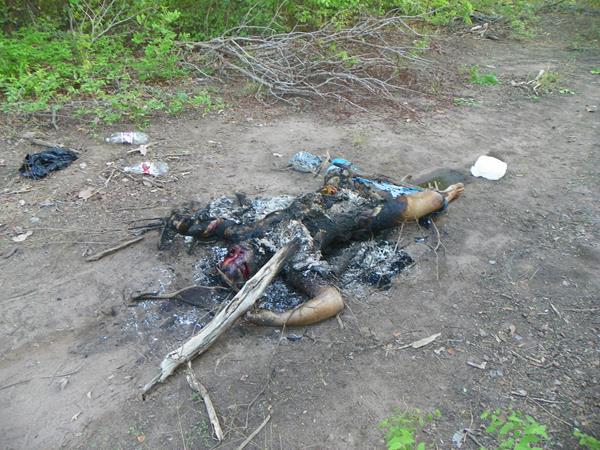 Corpo de um homem é encontrado em chamas nas proximidades do Assentamento Araras.(Imagem:AmaranteNet)