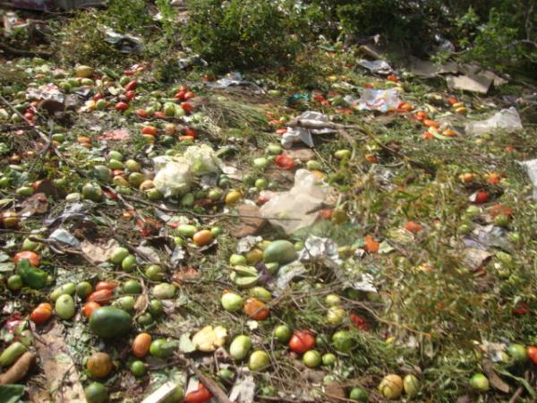 FRUTAS E VERDURAS ESPALHADAS(Imagem:FN)