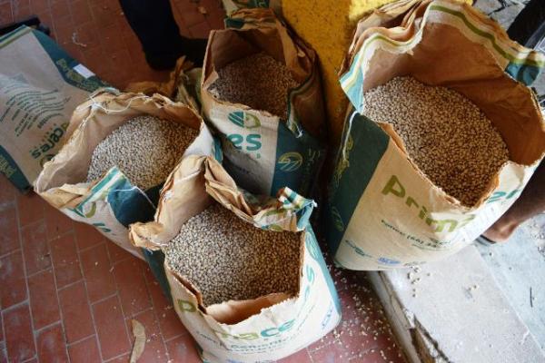 Prefeitura de Floriano faz entrega de sementes para produtores rurais.(Imagem:SECOM)